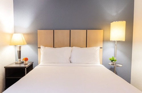 Baymeadows Hotel | Jacksonville Hideaway: Comfortable Suite near The Cummer Museum! W/Kitchen!