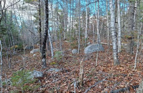 Cherryfield House | Unplug and Reconnect in a Peaceful Off-Grid Cabin for Relaxation and Nature Immersion in Beddington, Maine